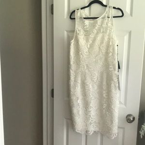 Adrianna Papell ivory lace overlay sheath dress
